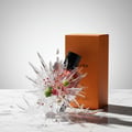 Maison Alhambra Terra by Maison Alhambra – 50 ml Unisex — A perfume bottle is suspended in a dynamic splash of clear liquid, with ice shards, pink peppercorns, cardamom pods, and lime. An orange box stands behind. | Maison Alhambra Terra by Maison Alhambra – 50 ml Unisex — Botol minyak wangi digantung dalam percikan